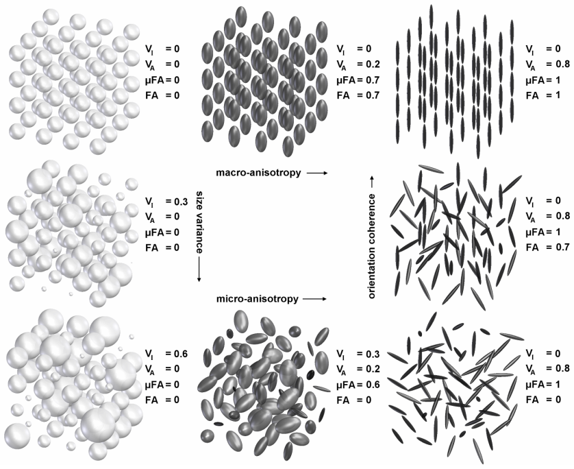 Figure 21