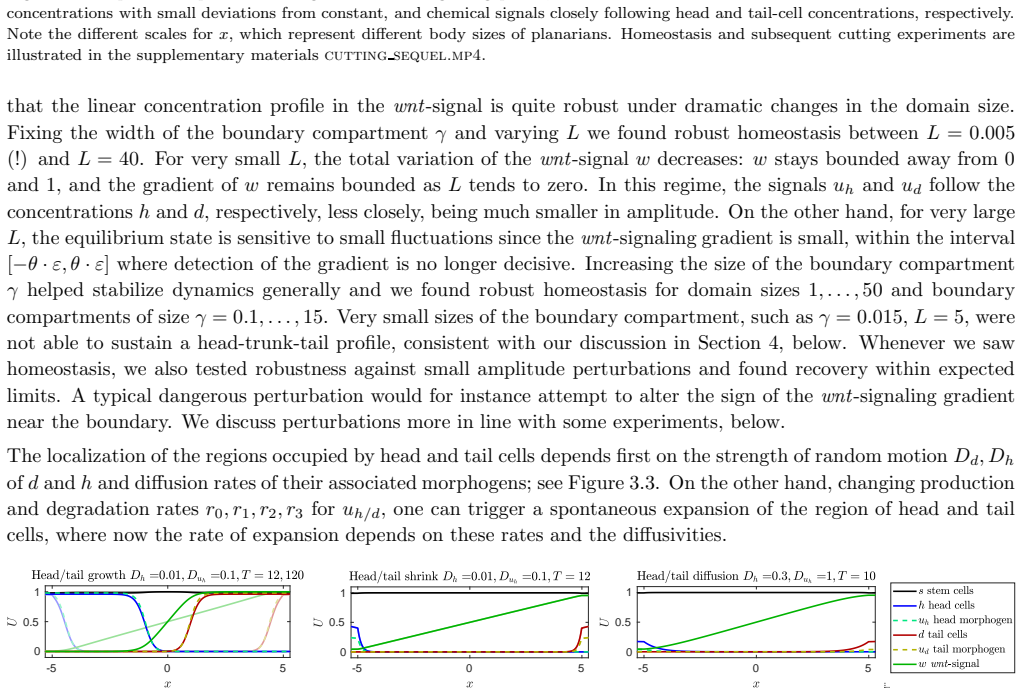 Figure 3.3