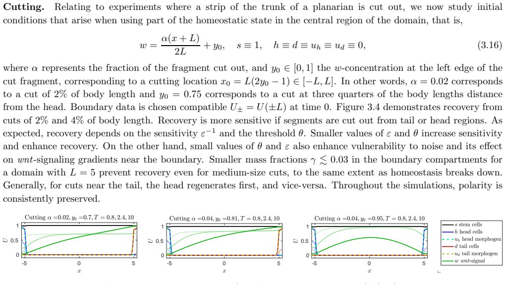 Figure 3.4