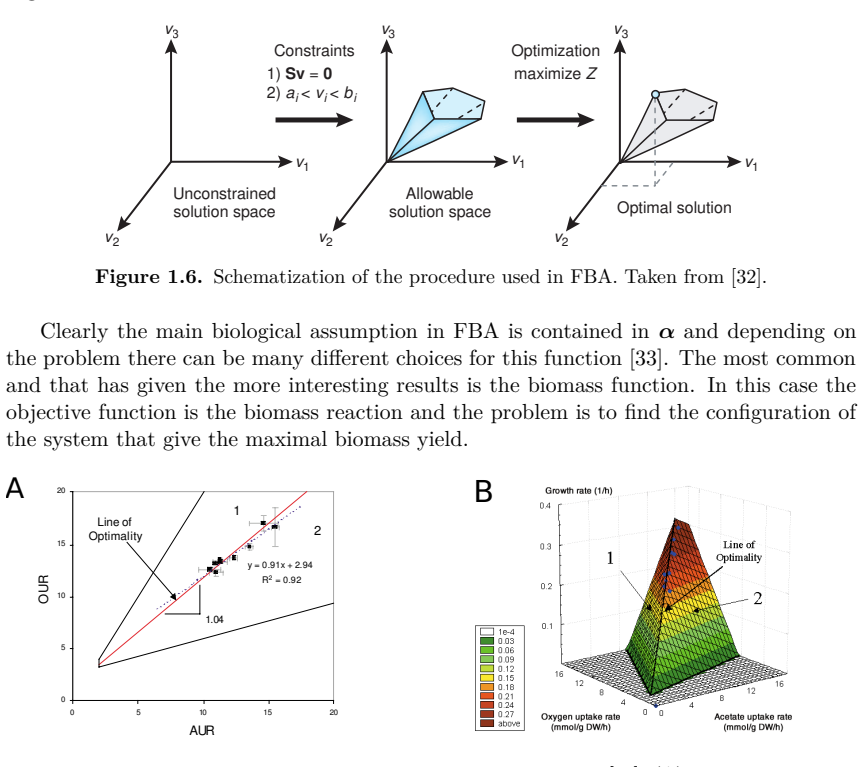 Figure 1.7