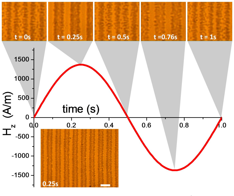 Figure 5