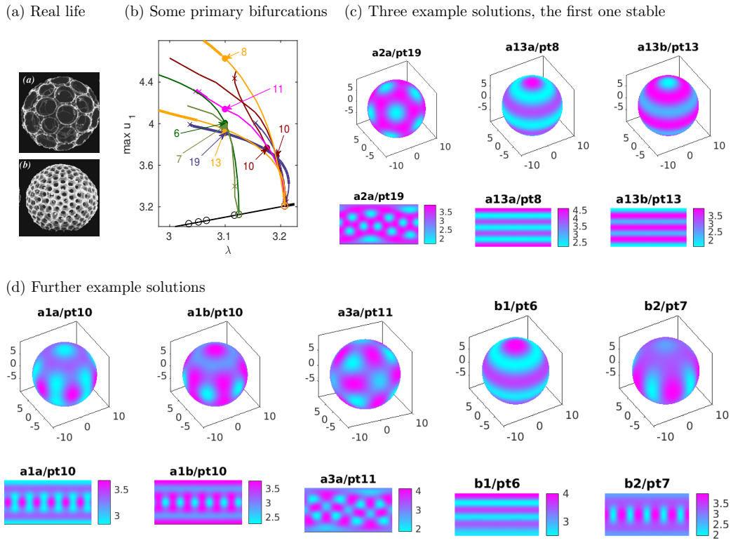 Figure 34