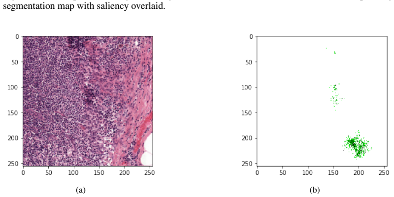 Figure 21
