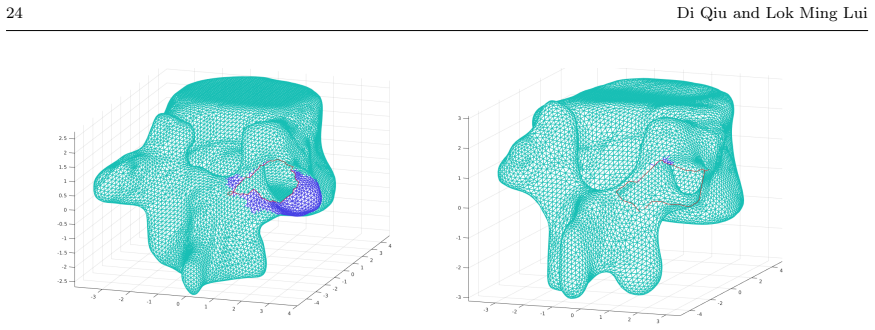 Figure 24