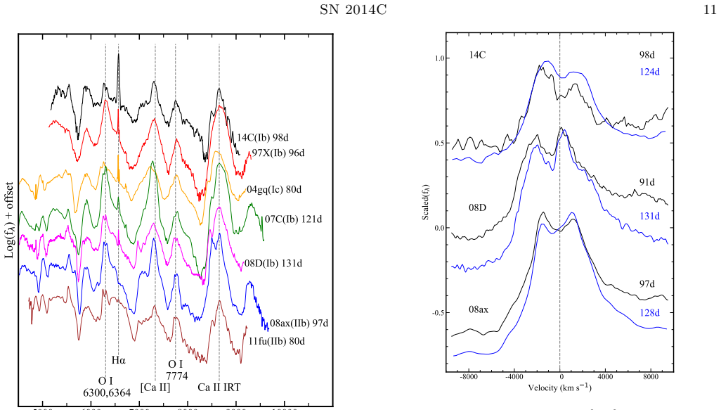 Figure 11