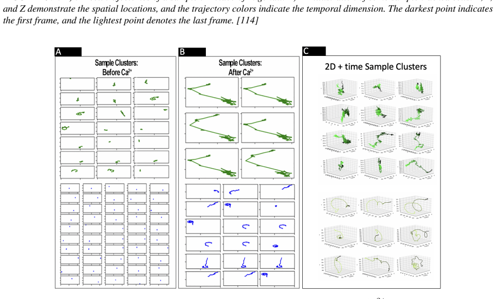 Figure 30