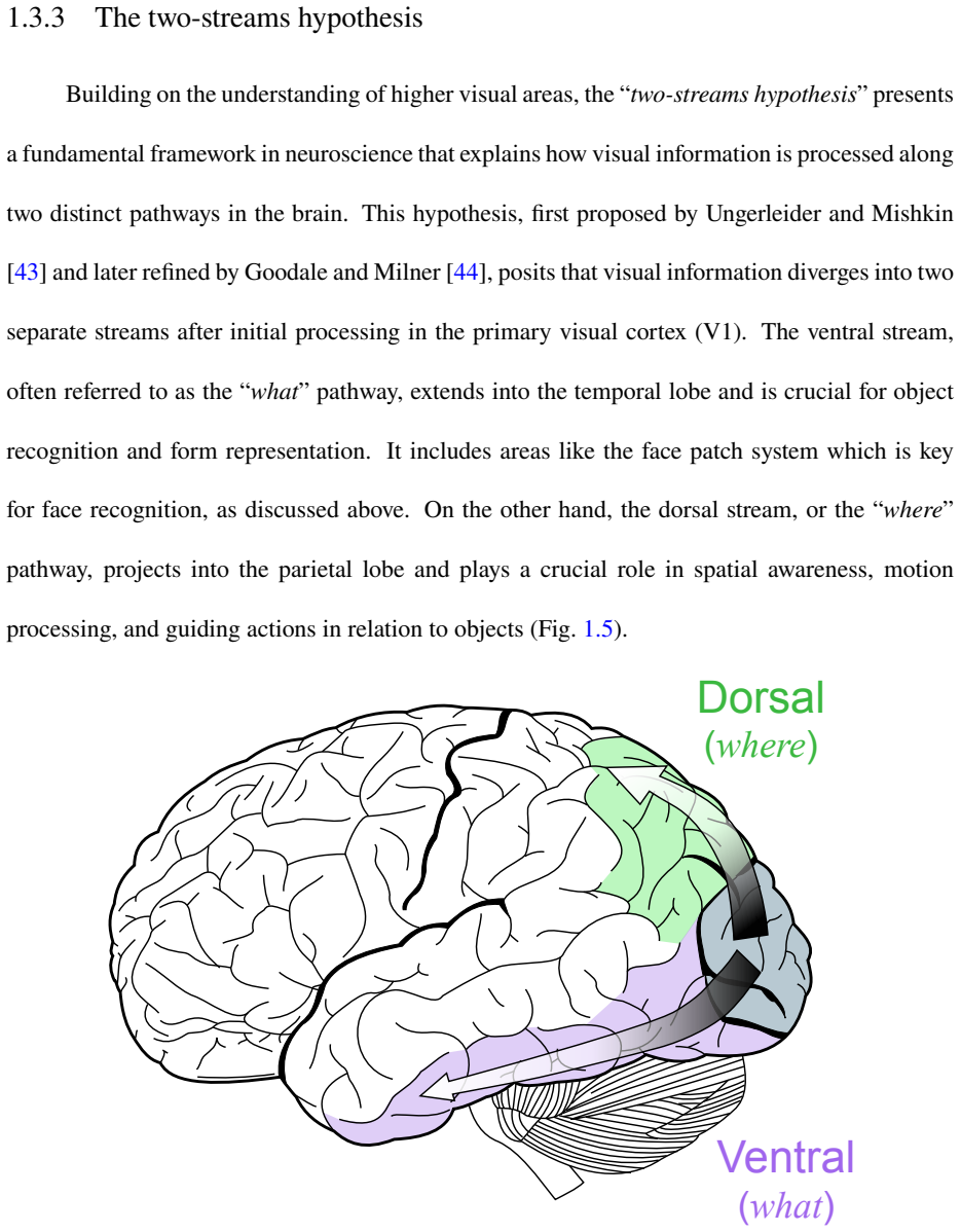 Figure 1.5