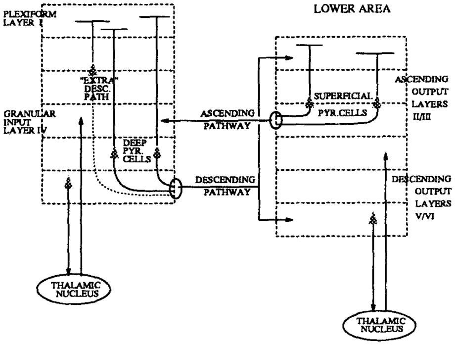 Figure 1.11