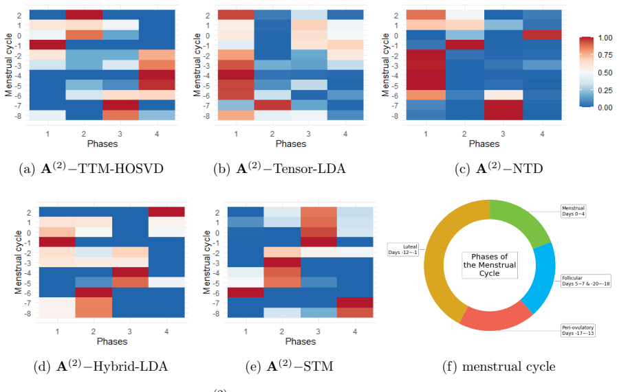 Figure 31