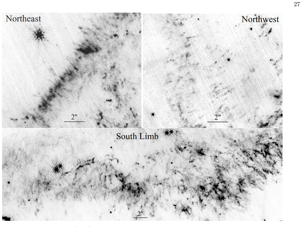 Figure 19