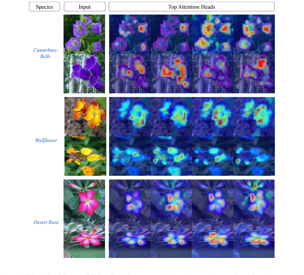 Figure 21
