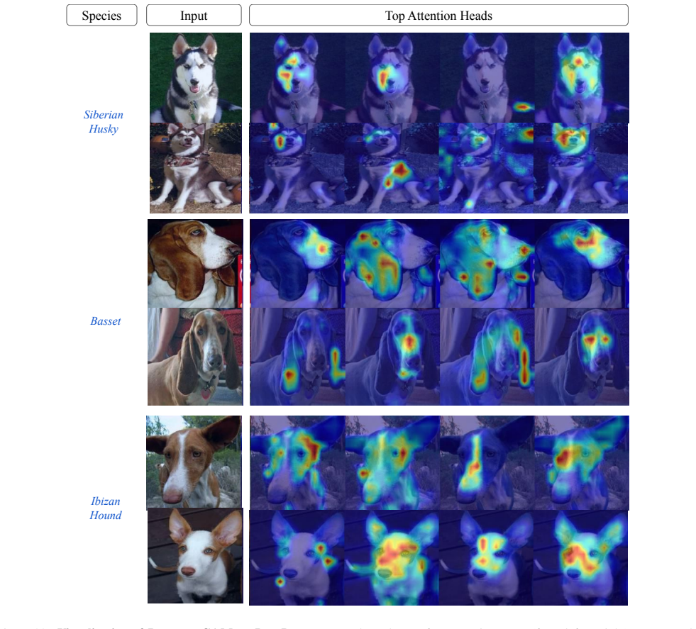 Figure 22