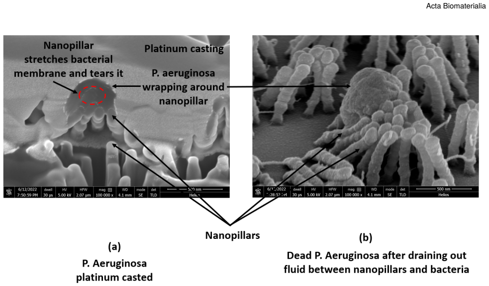 Figure 18