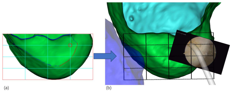 Figure 8