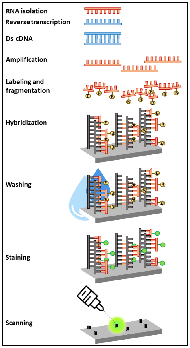 Figure 4.3