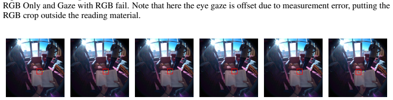 Figure 29