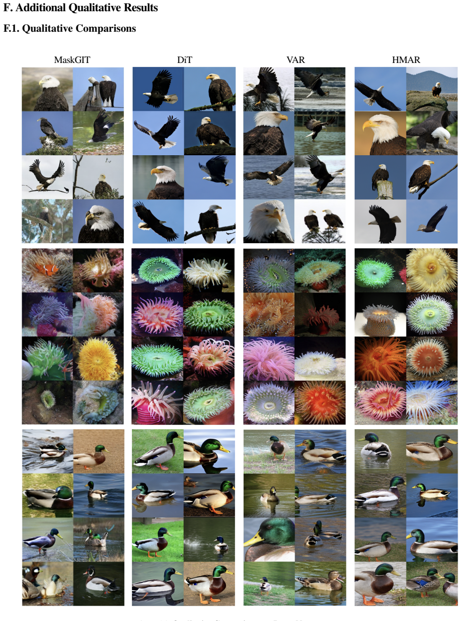 Figure 24