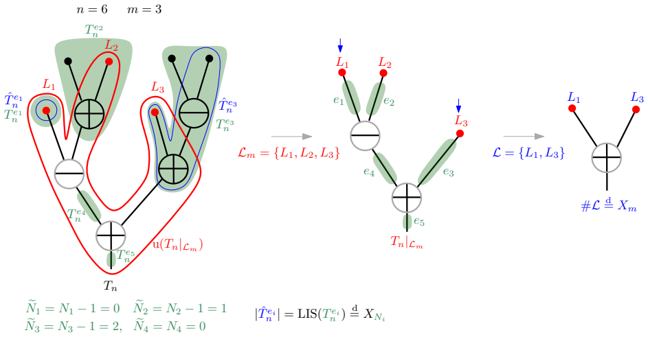 Figure 8