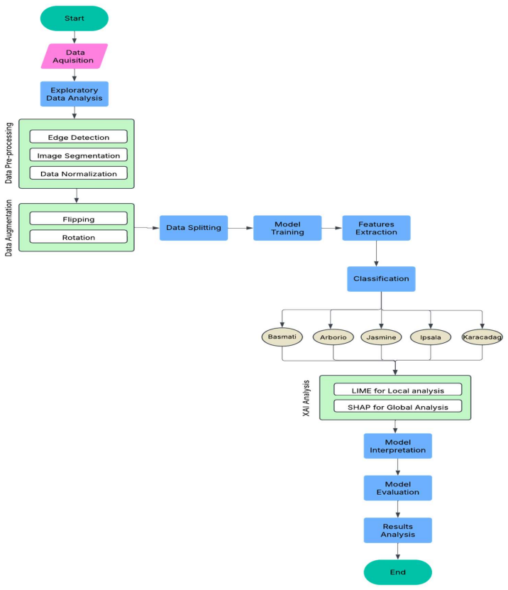 Figure 3.5