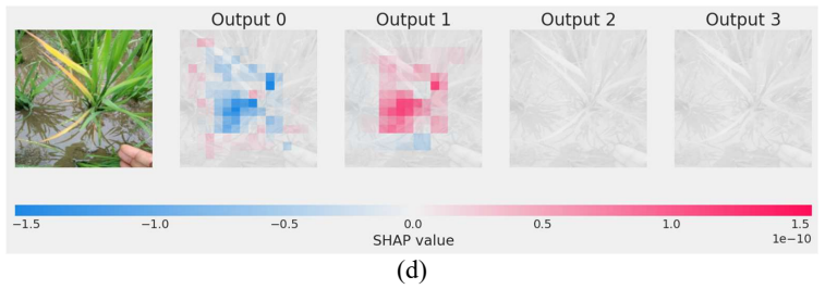 Figure 5.8
