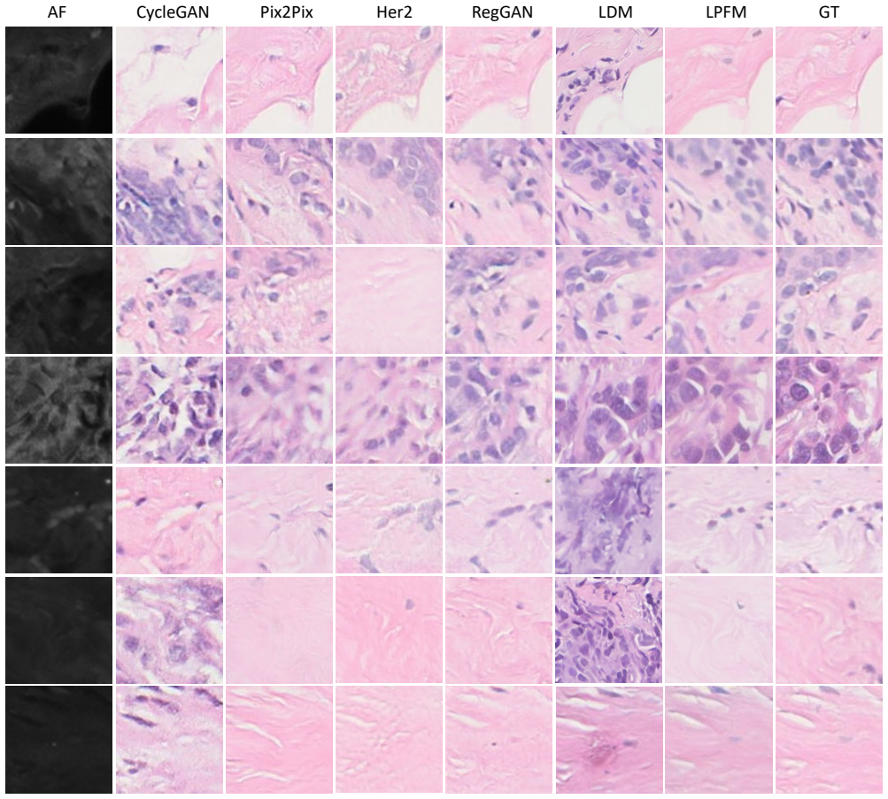 Figure 18