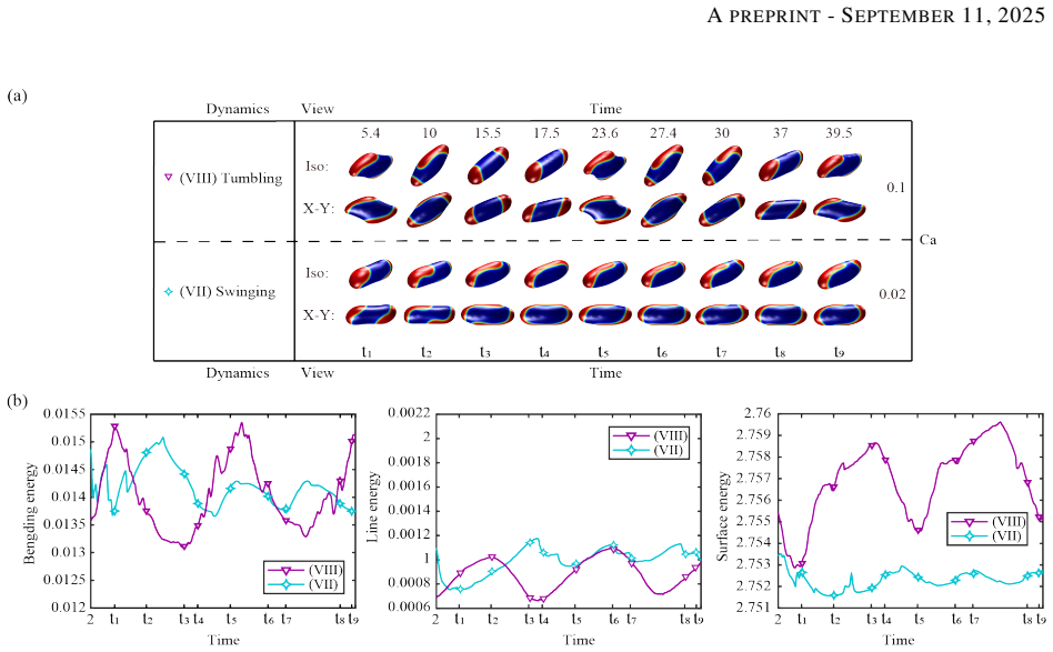 Figure 17