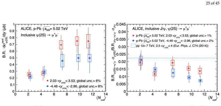 Figure 33