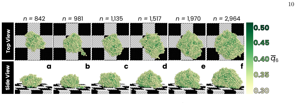 Figure 12