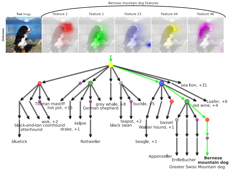 Figure 30