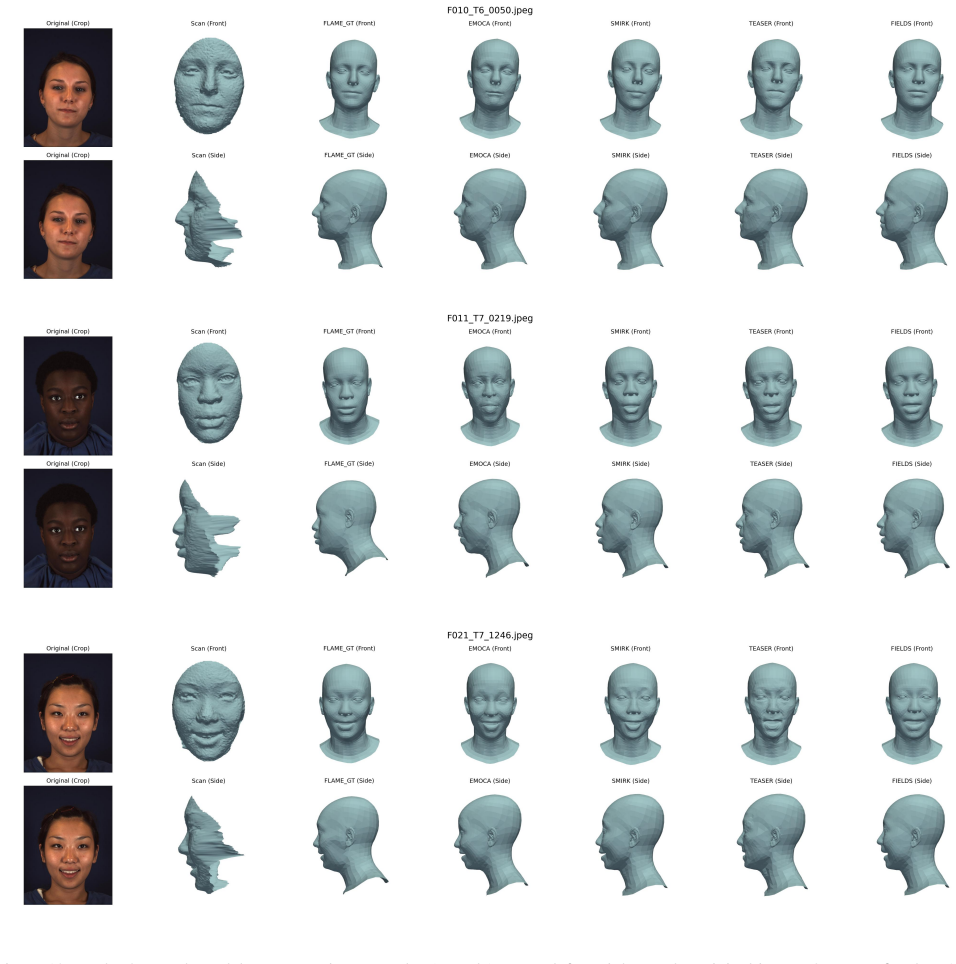 Figure 12