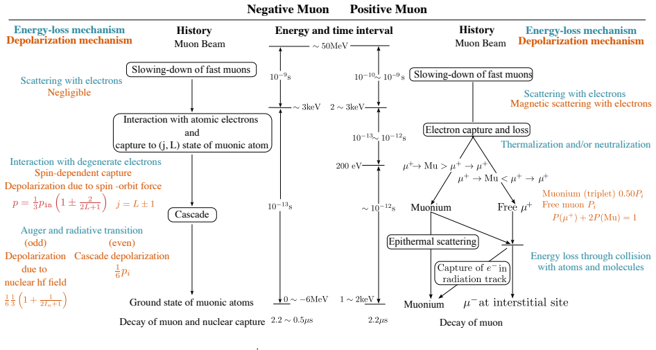 Figure 24