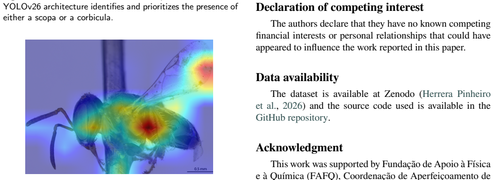 Figure 20