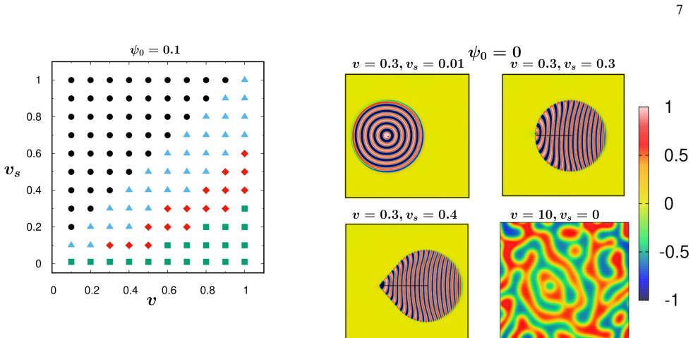 Figure 8