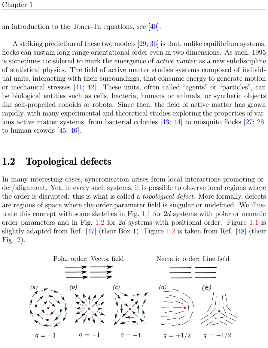 Figure 1.1