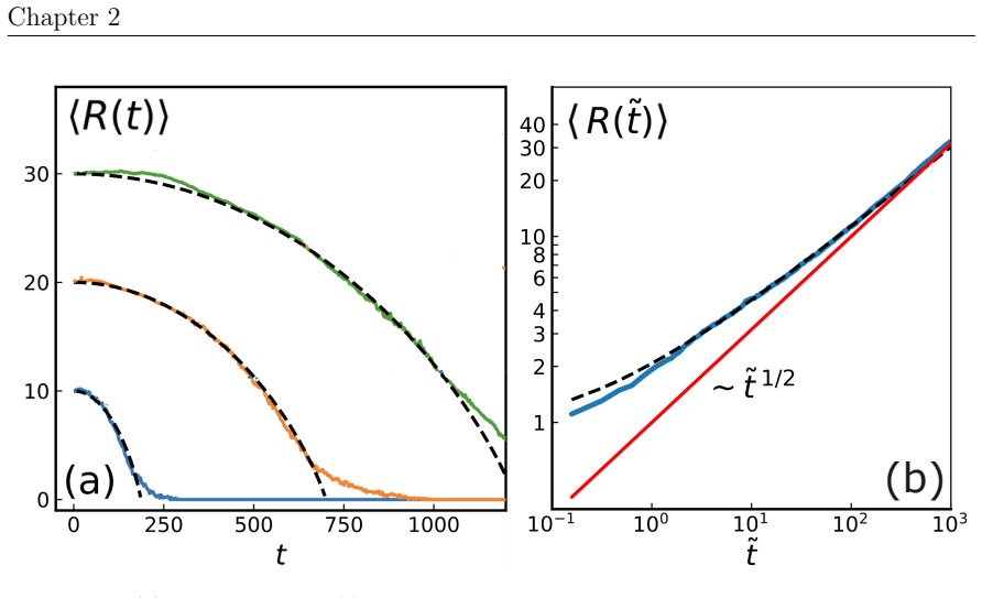 Figure 2.5