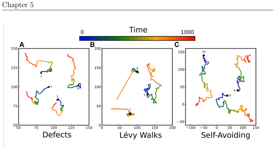Figure 5.12