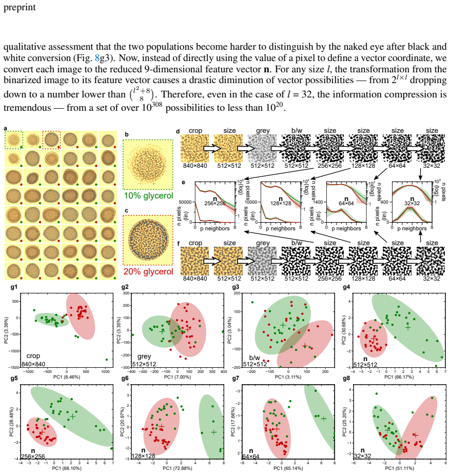Figure 8