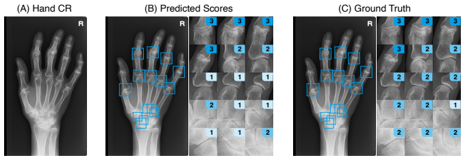 Figure 12