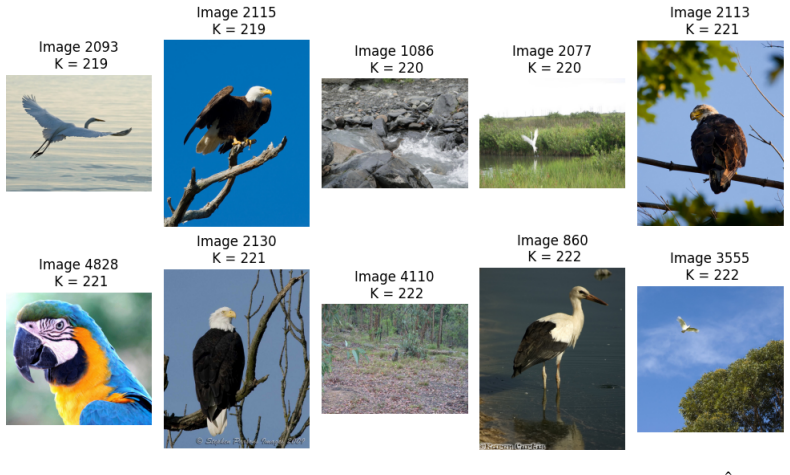 Figure 11