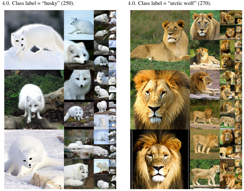 Figure 20