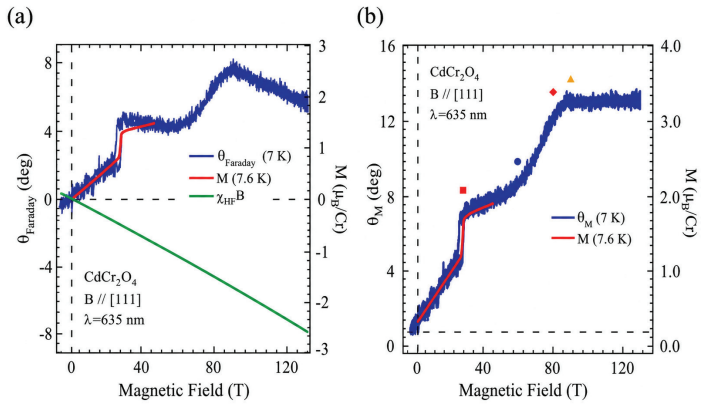 Figure 37