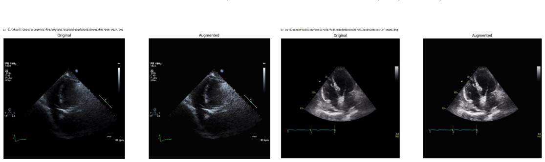 Figure 24