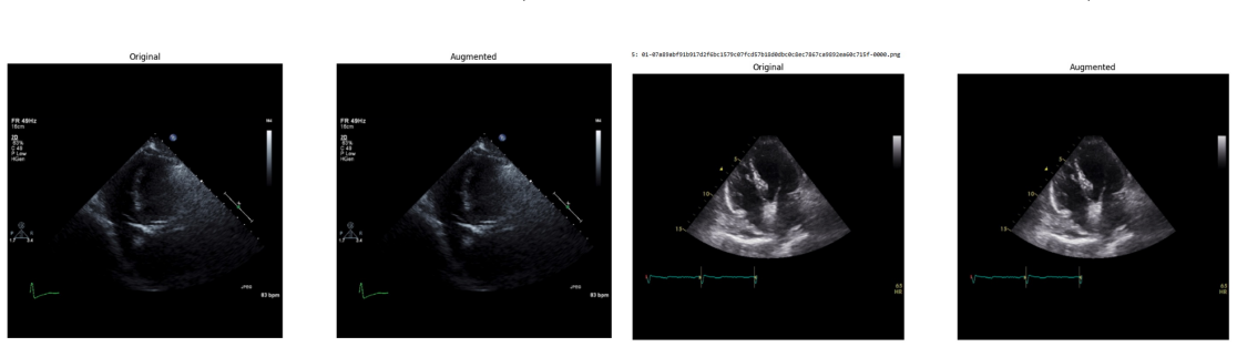 Figure 30