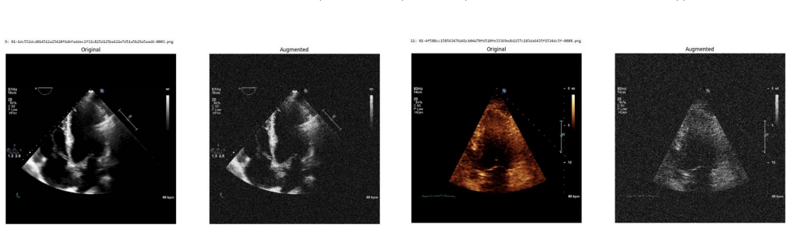 Figure 38