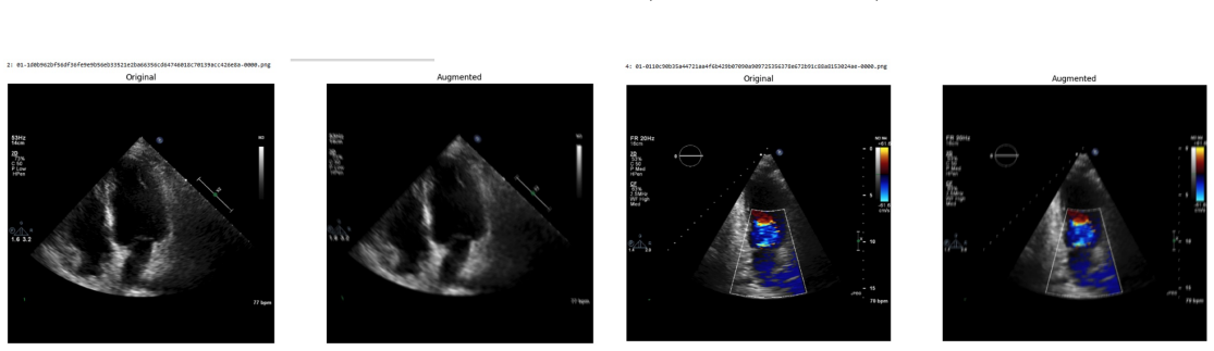 Figure 40