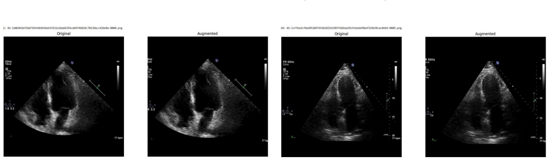 Figure 66