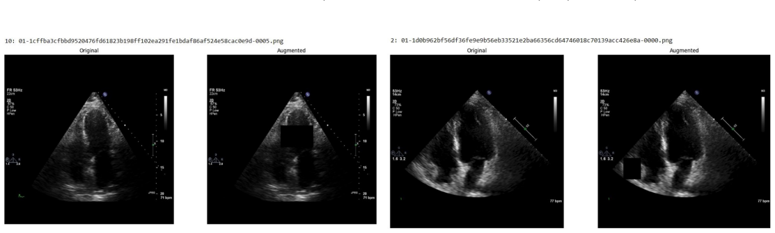 Figure 69