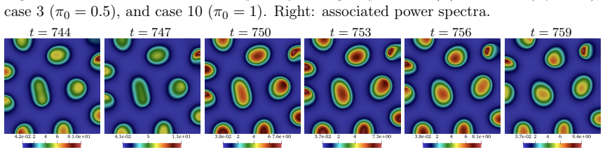 Figure 20
