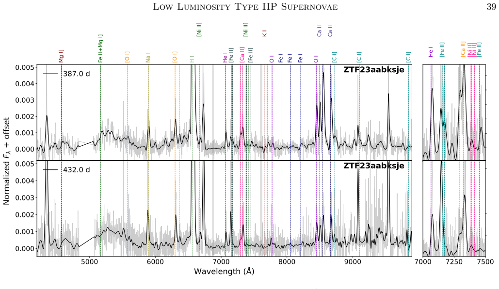 Figure 21