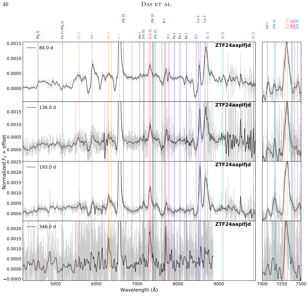 Figure 31